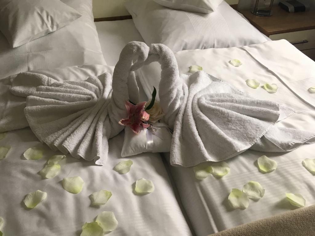 Hotel Am Hof